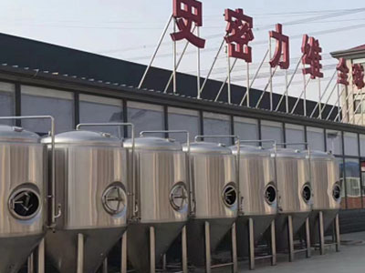 甘肃精酿啤酒设备厂—如何判断精酿啤酒设备的密封件需要更换？